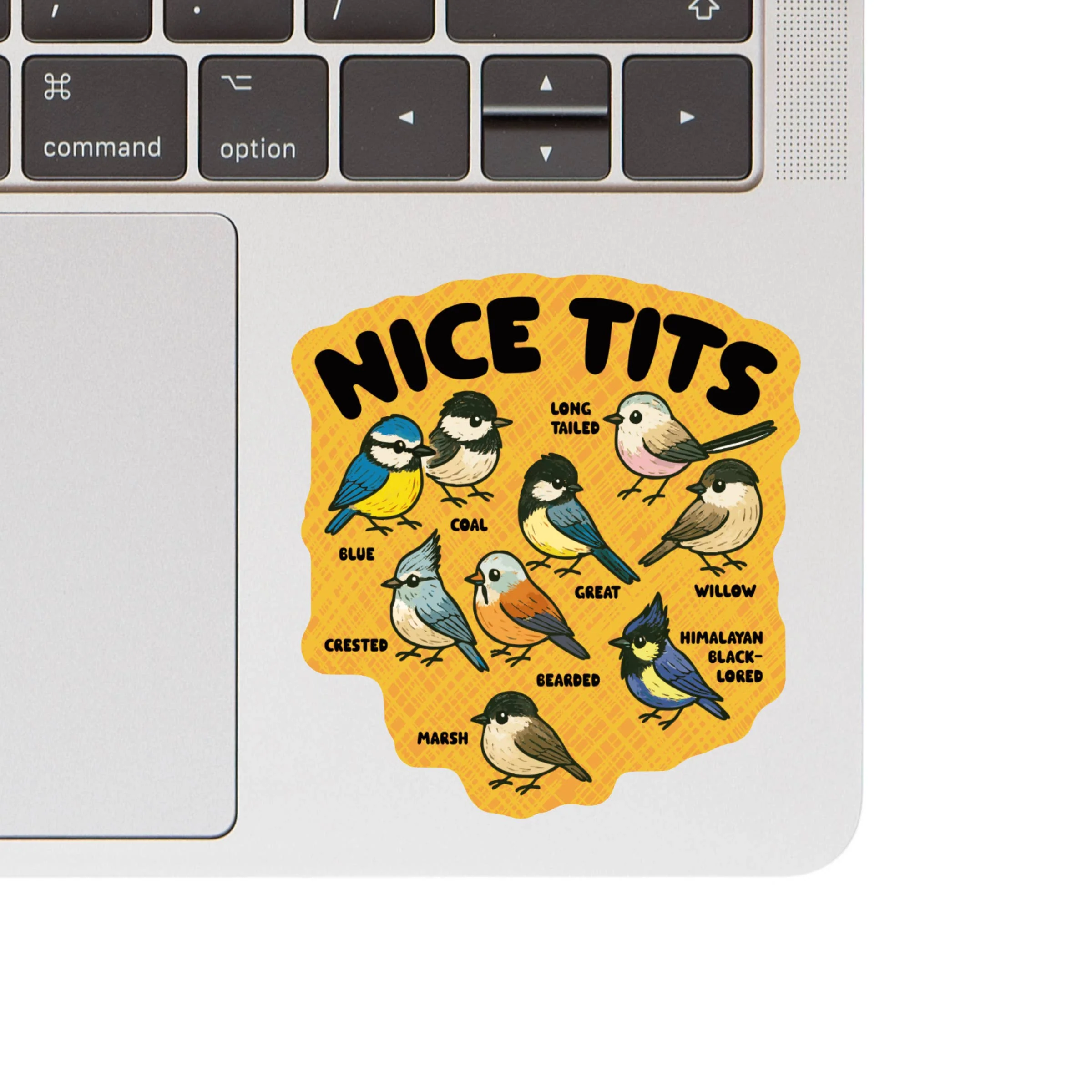 Sassy Bird Funny Pun Species High Quality Vinyl Sticker - Image 2