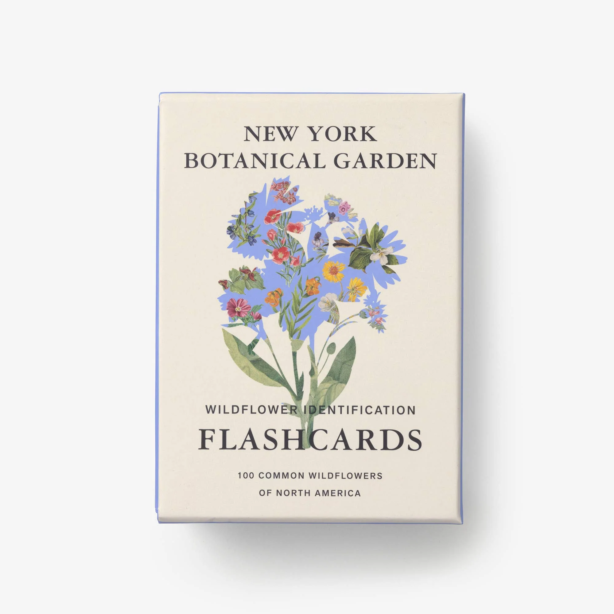 New York Botanical Garden Wildflower ID Flashcards - Image 3