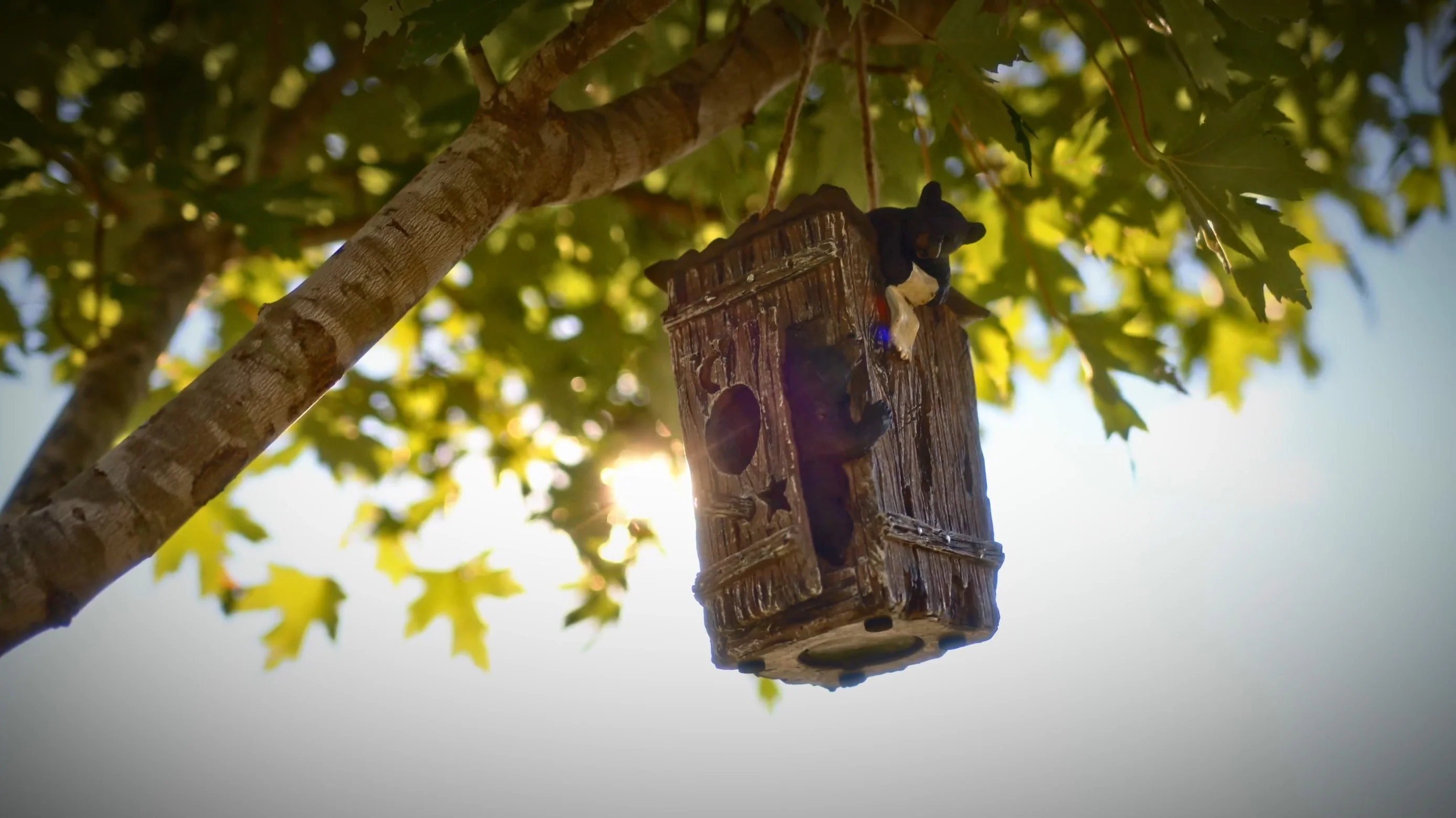 Birdhouse-Bears in Outhouse - Image 2