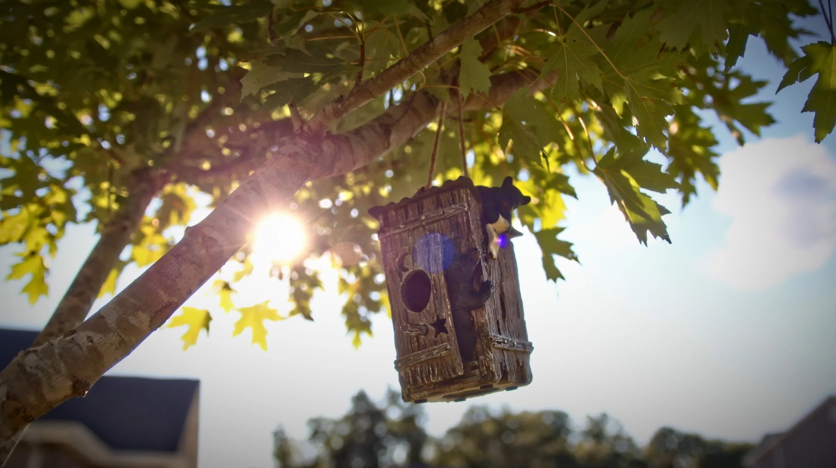 Birdhouse-Bears in Outhouse - Image 3