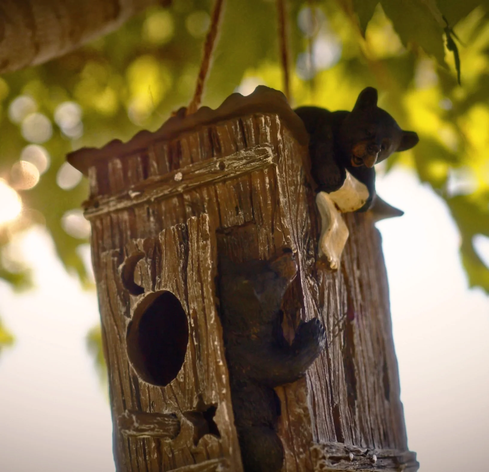 Birdhouse-Bears in Outhouse