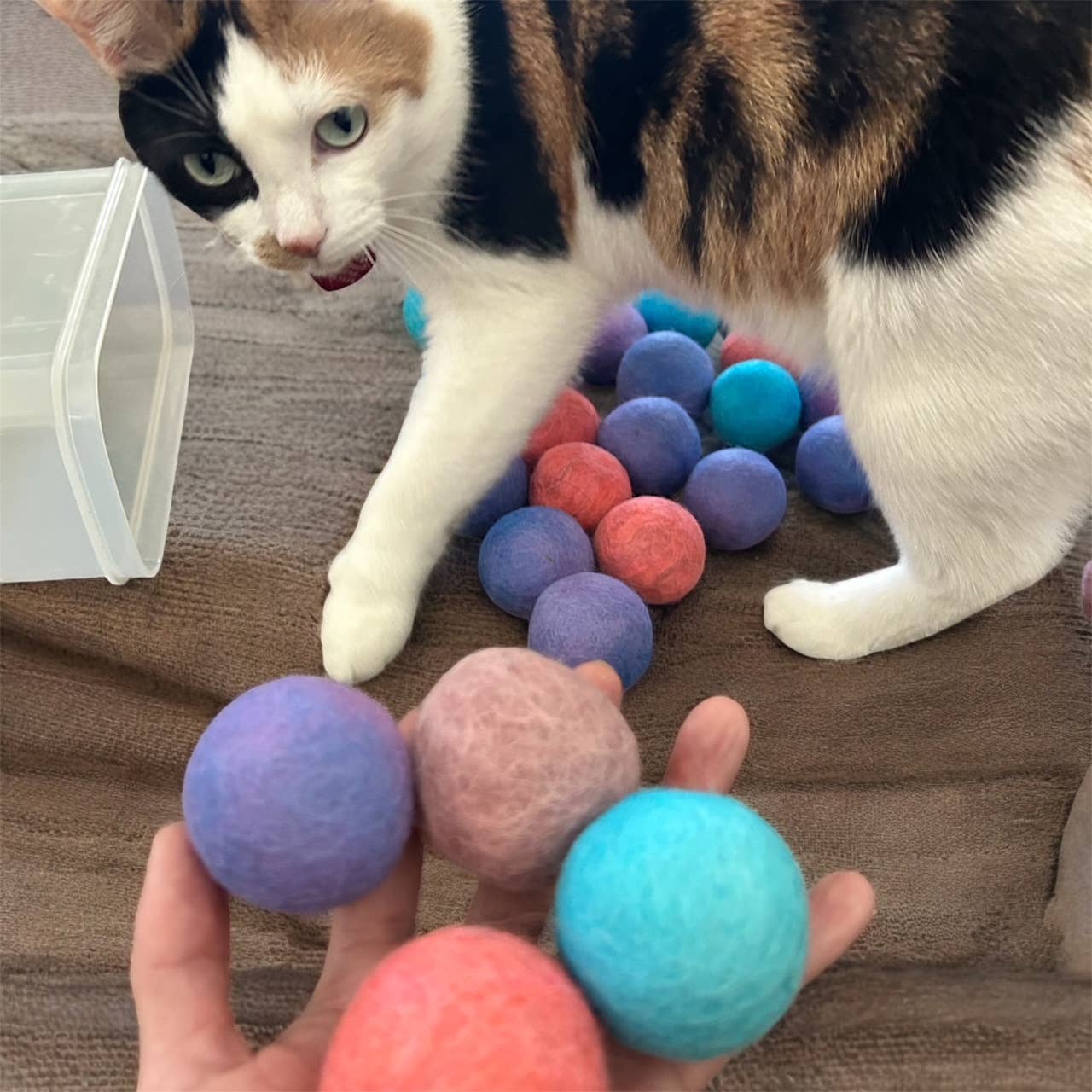 100% Alpaca Wool Cat Rattle Balls – Assorted Colors, 2-Pack - Image 3