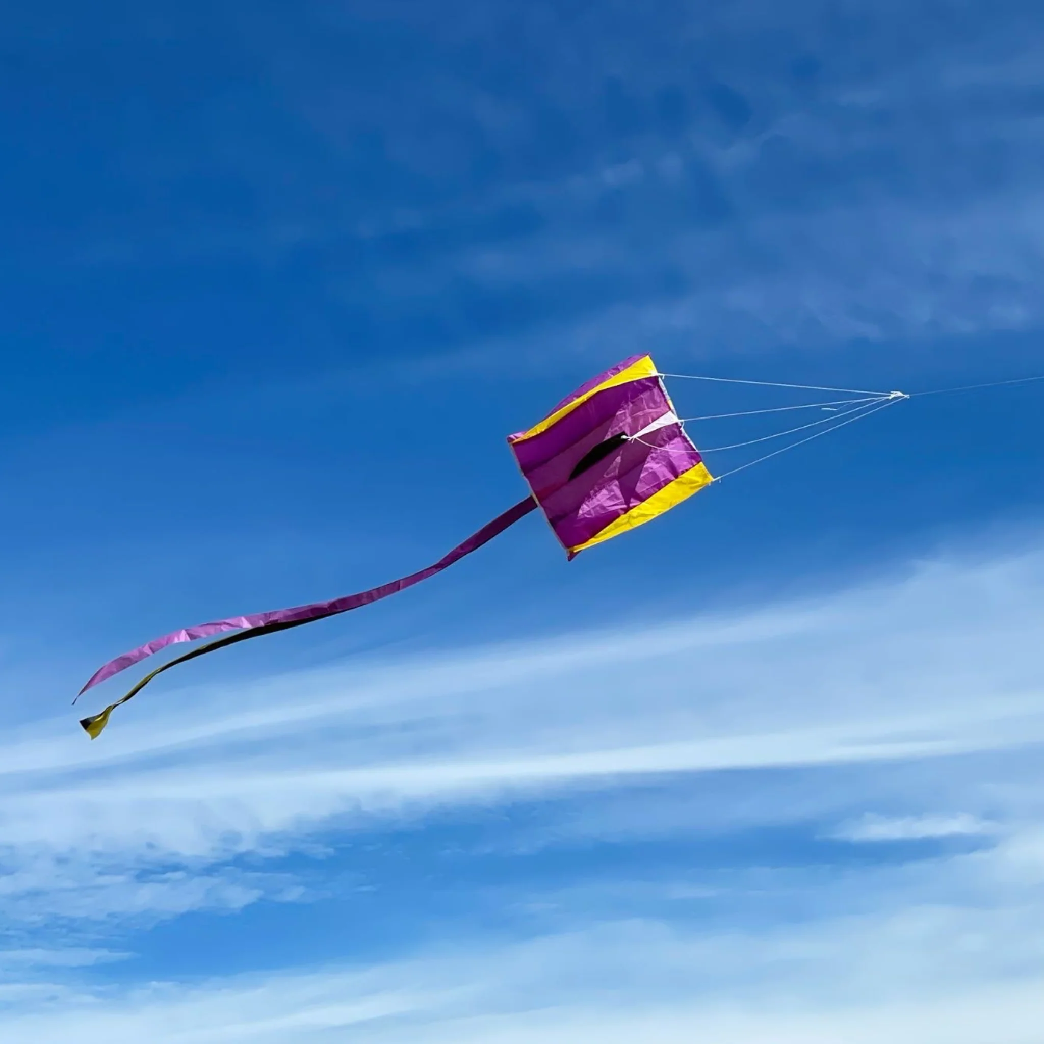 Pocket Parafoil Kite - Image 1