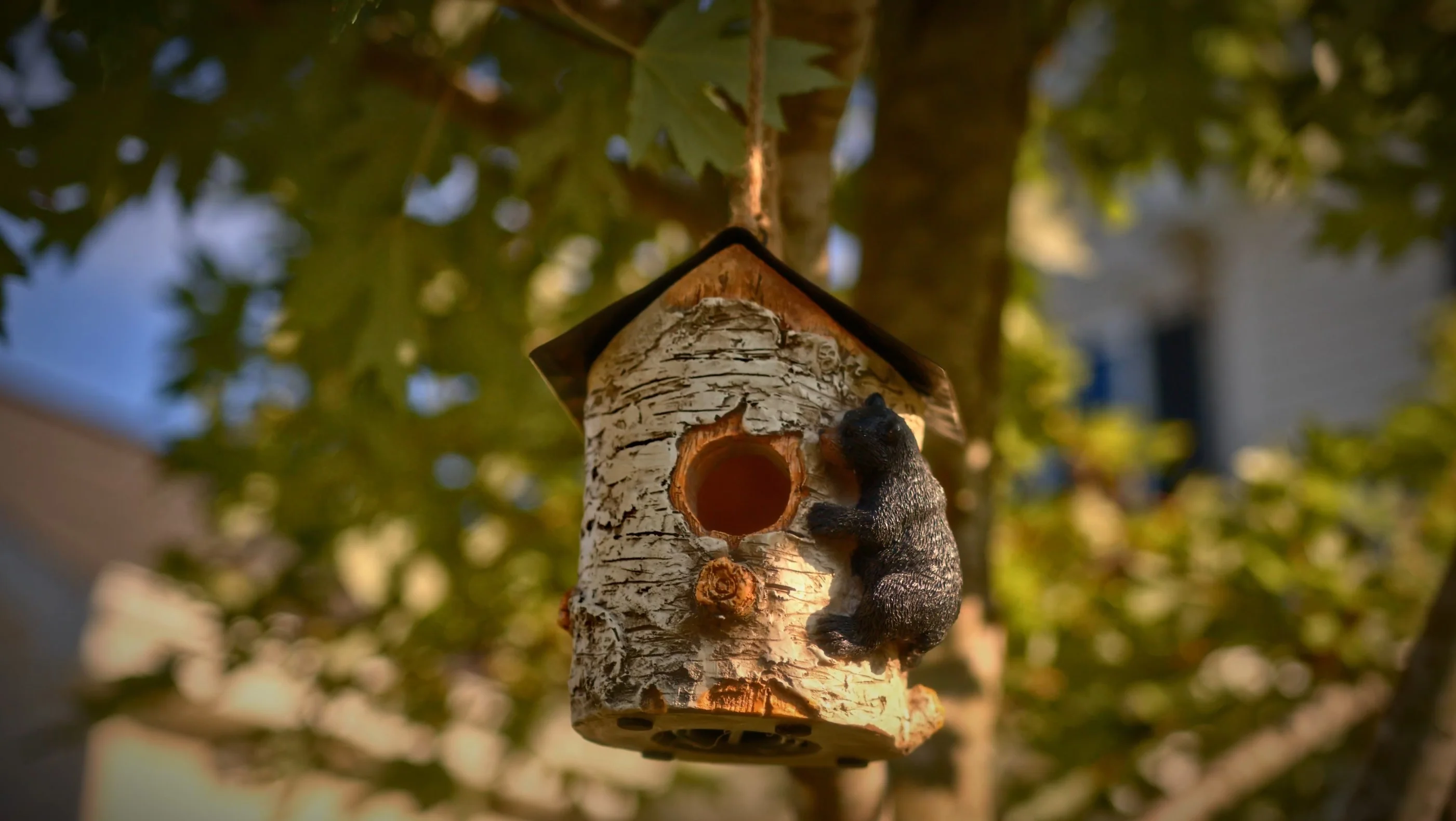 Birdhouse-Birch Tree and Bear - Image 2
