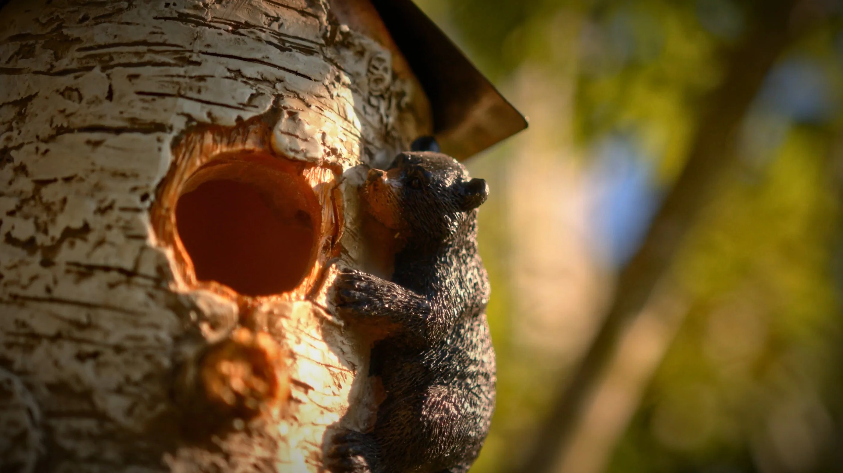 Birdhouse-Birch Tree and Bear - Image 3