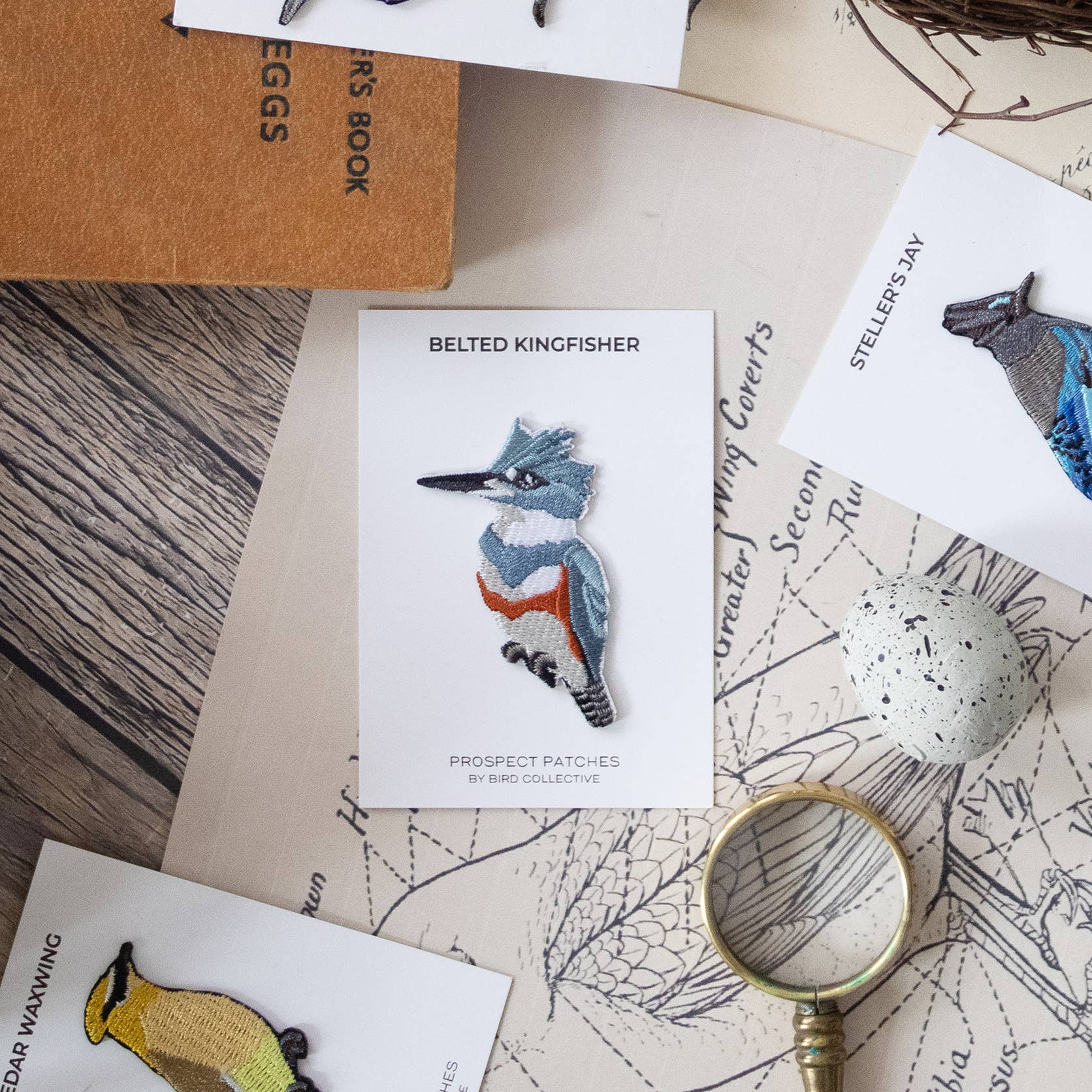 Belted Kingfisher Patch - Image 2