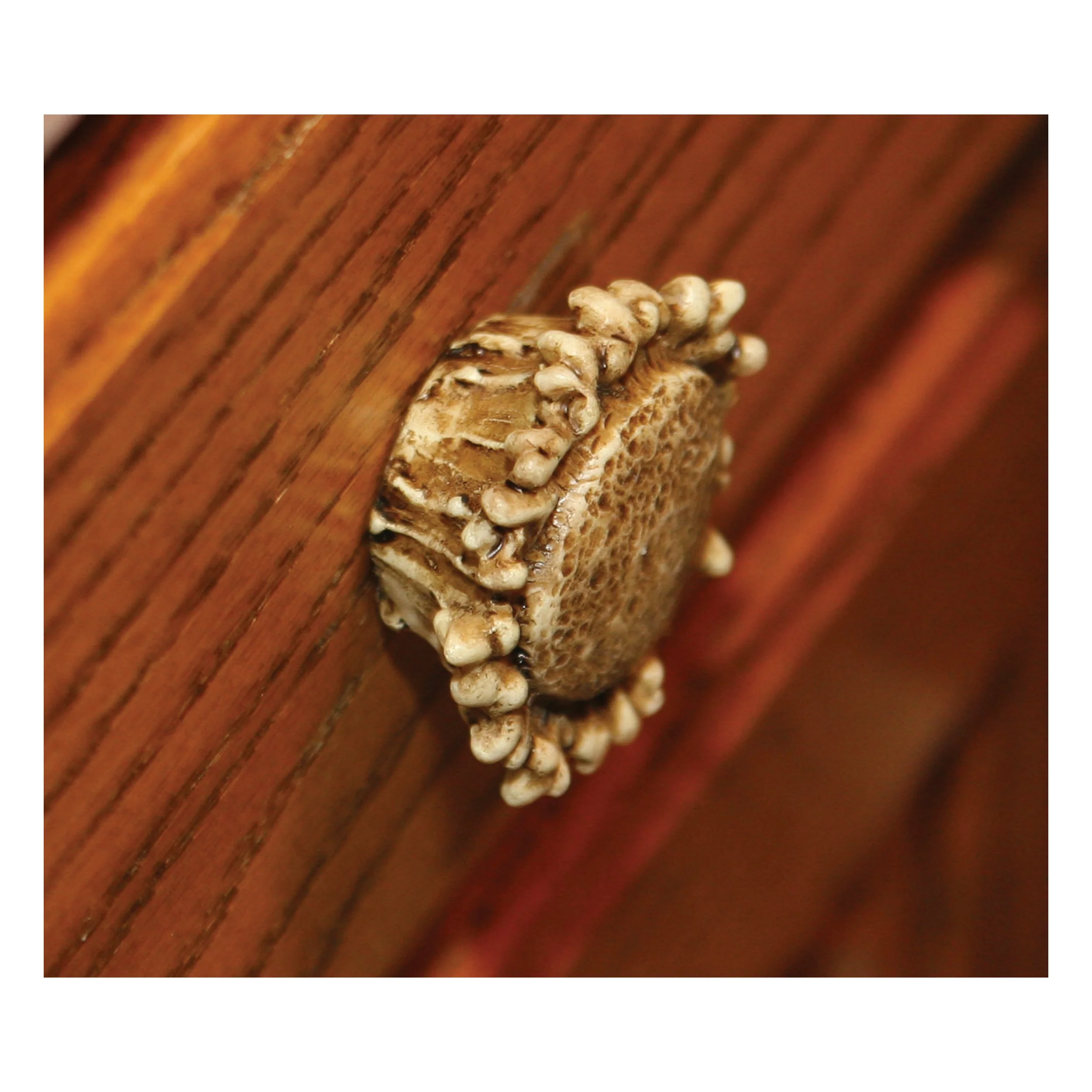 Drawer Cabinet Knobs 2-Pack-Antler - Image 1