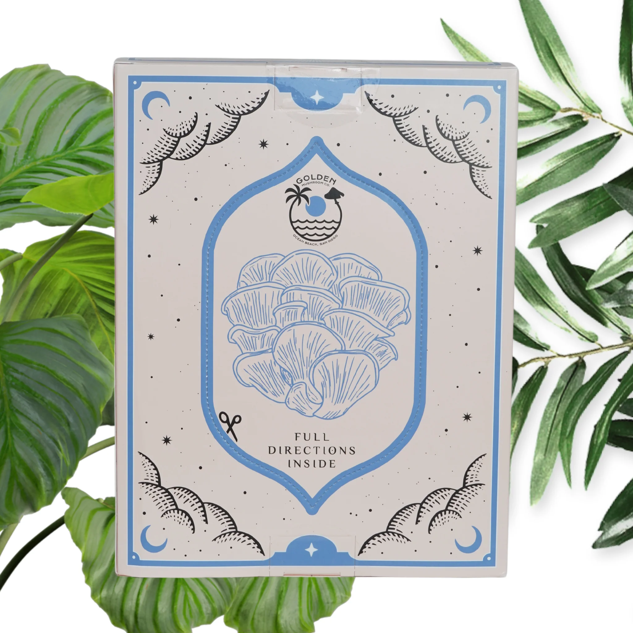 Blue Oyster Mushroom Grow Kit - Image 2
