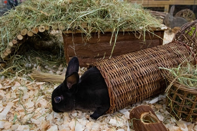 Happy Pet Willow Tunnel - Image 2