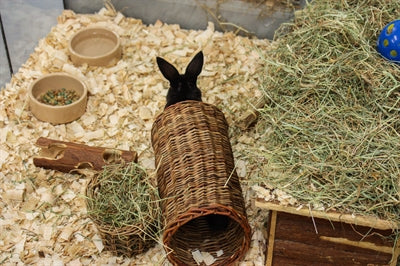 Happy Pet Willow Tunnel - Image 3