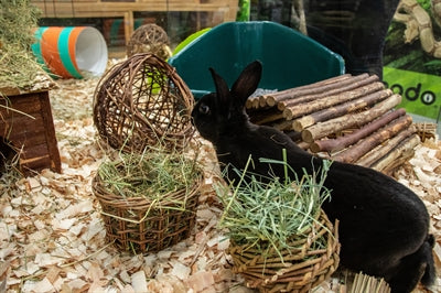 Nature First Happy Pet Willow Hay Rack - Image 3