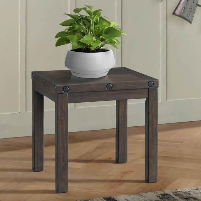 Elements International Colorado TCO100ETP End Table w/USB - Image 1