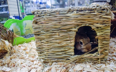 Nature First Happy Pet Grassy Hideaway Hiding Place - Image 2