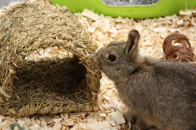 Happy Pet Grassy Tunnel - Image 2