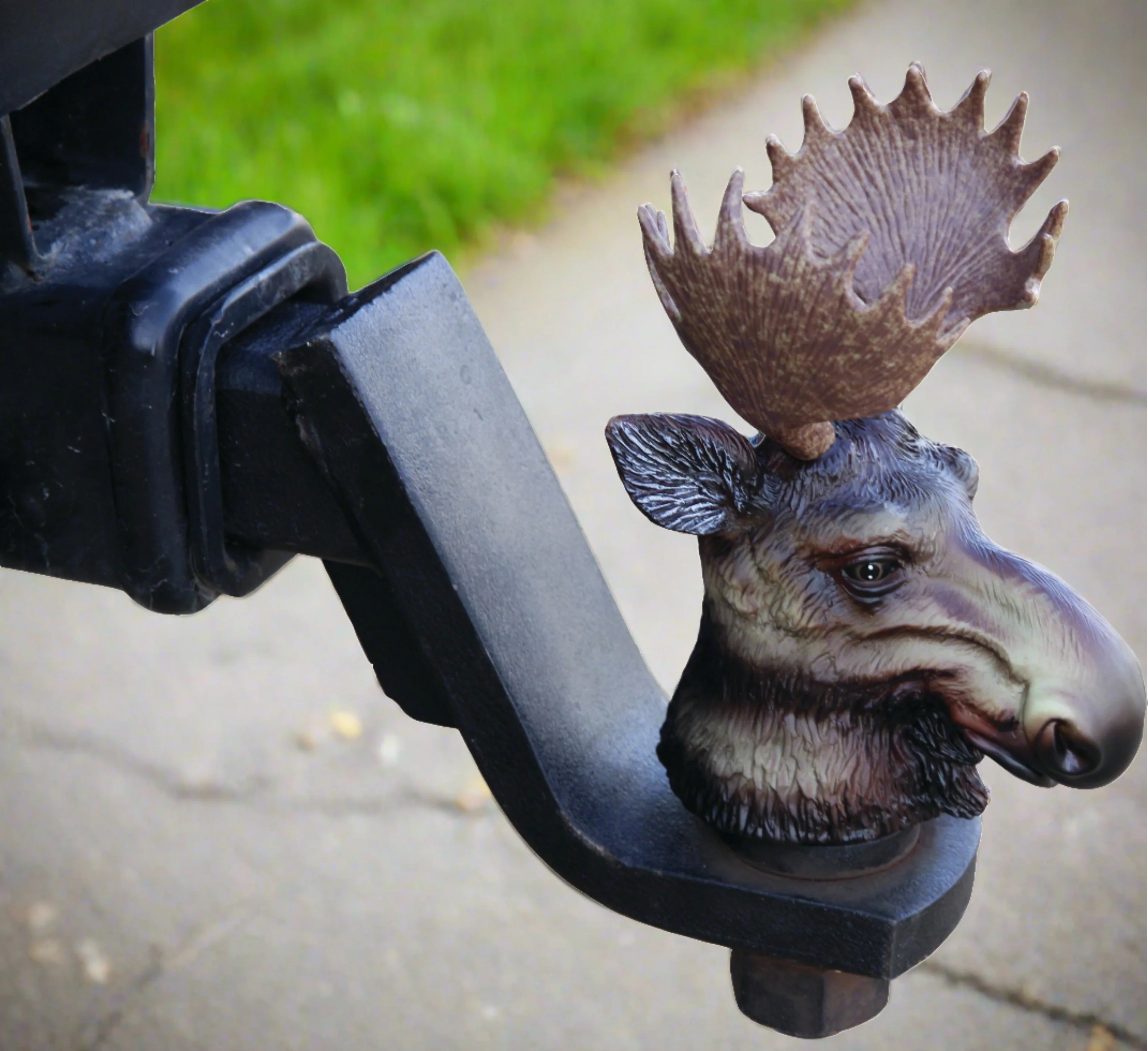 Trailer Ball Cover-Moose - Image 2