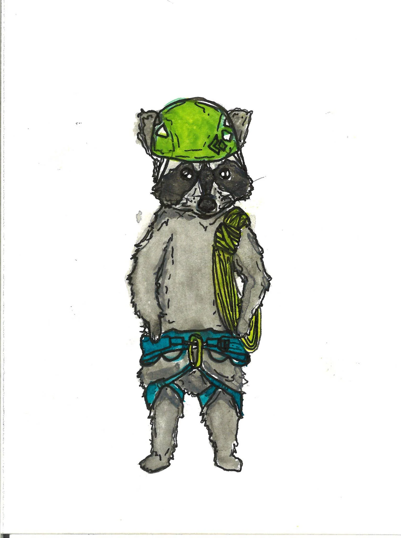 Climbing Raccoon Sticker - Image 3