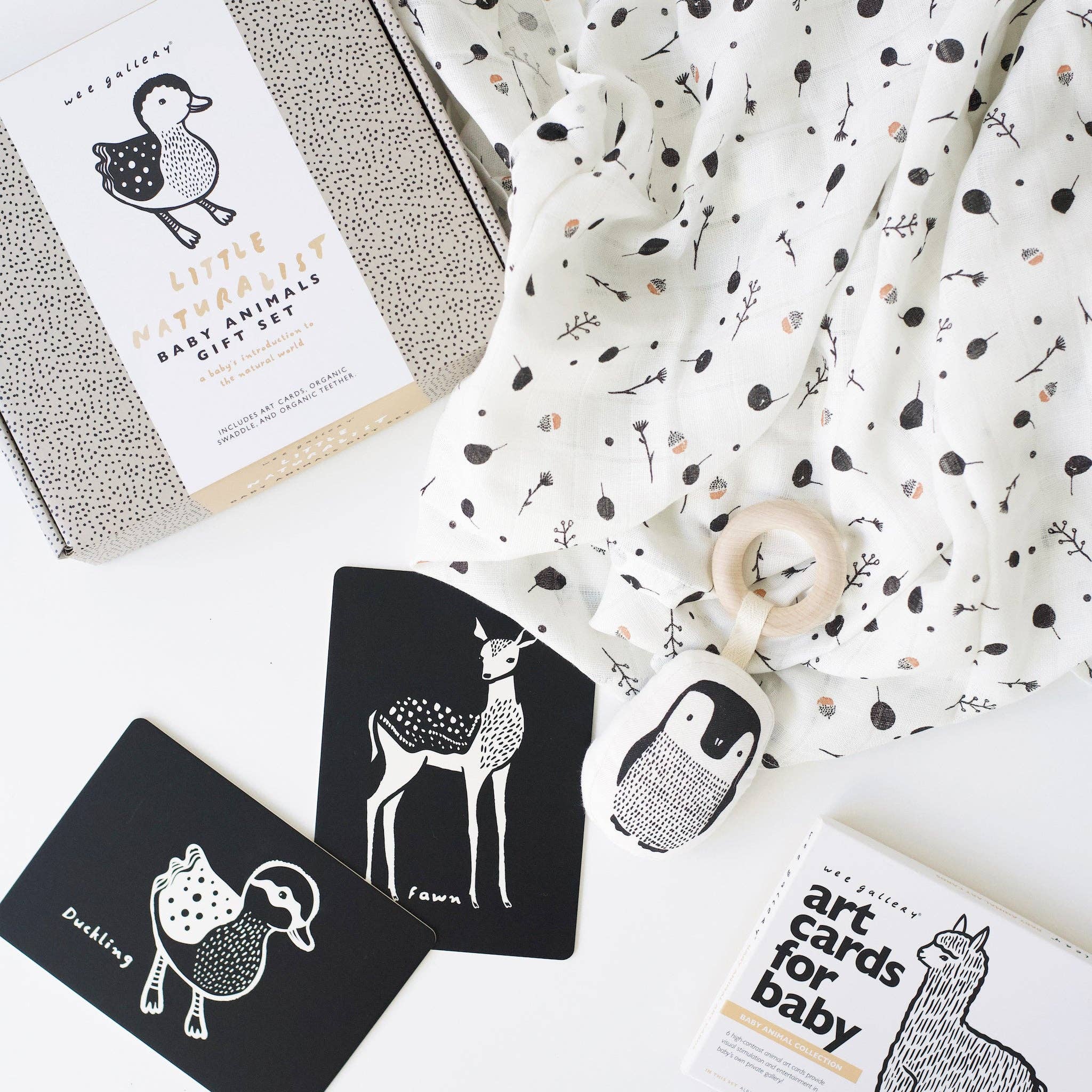 Little Naturalist Gift Set - Baby Animals - Image 1