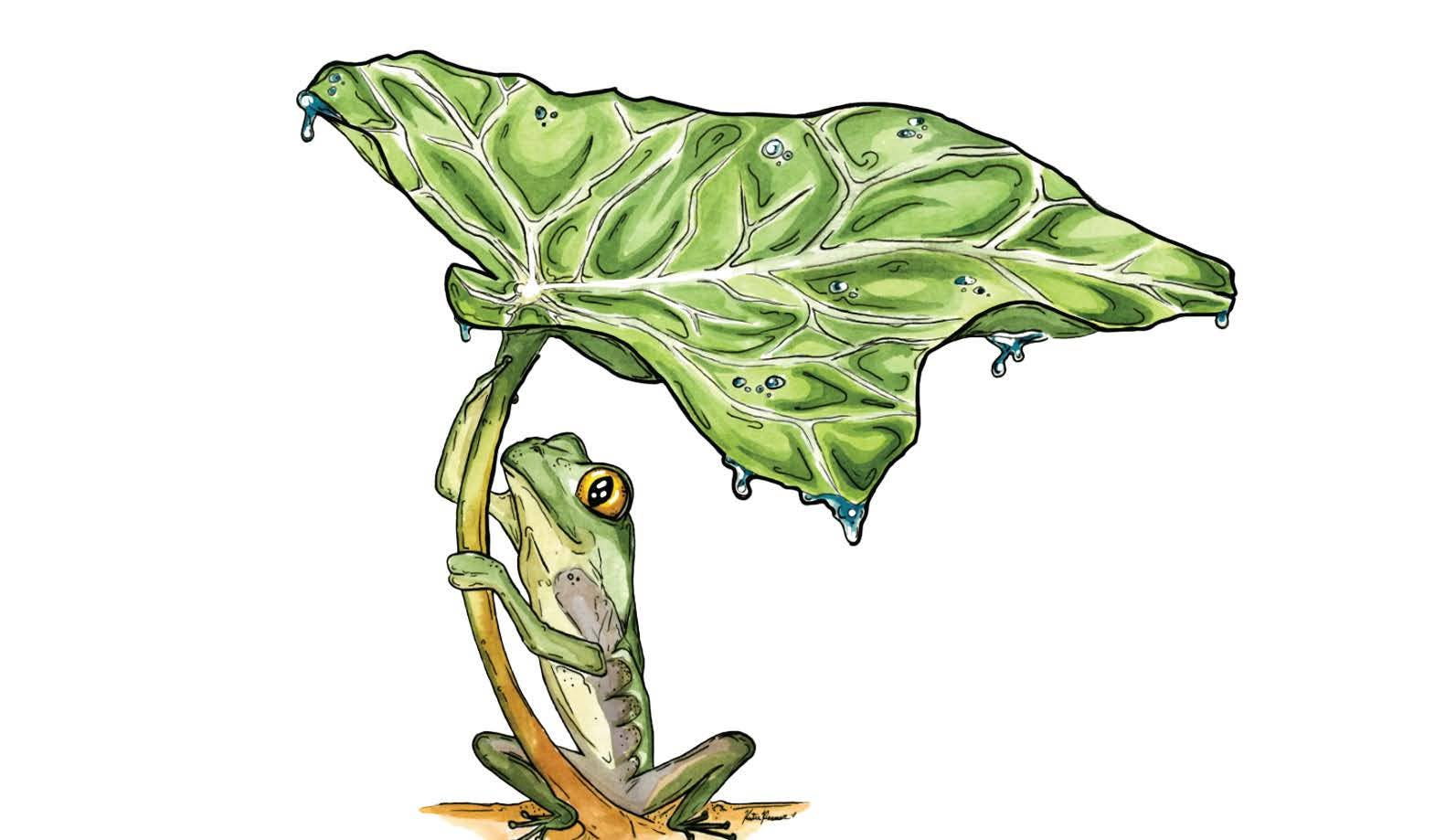 Frog and Leaf Sticker - Image 3