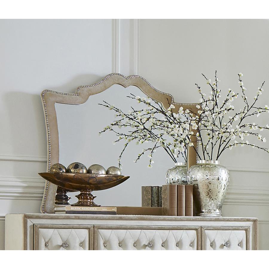 Coaster Furniture Antonella 223524 Upholstered Dresser Mirror – Camel