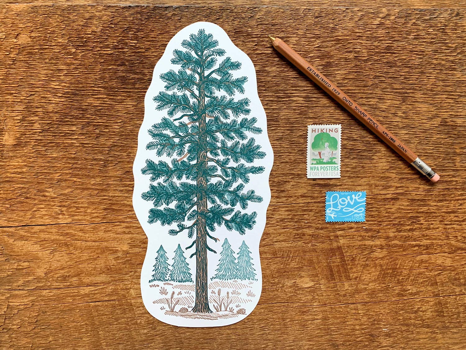 Pine Tree Postcard - Image 2