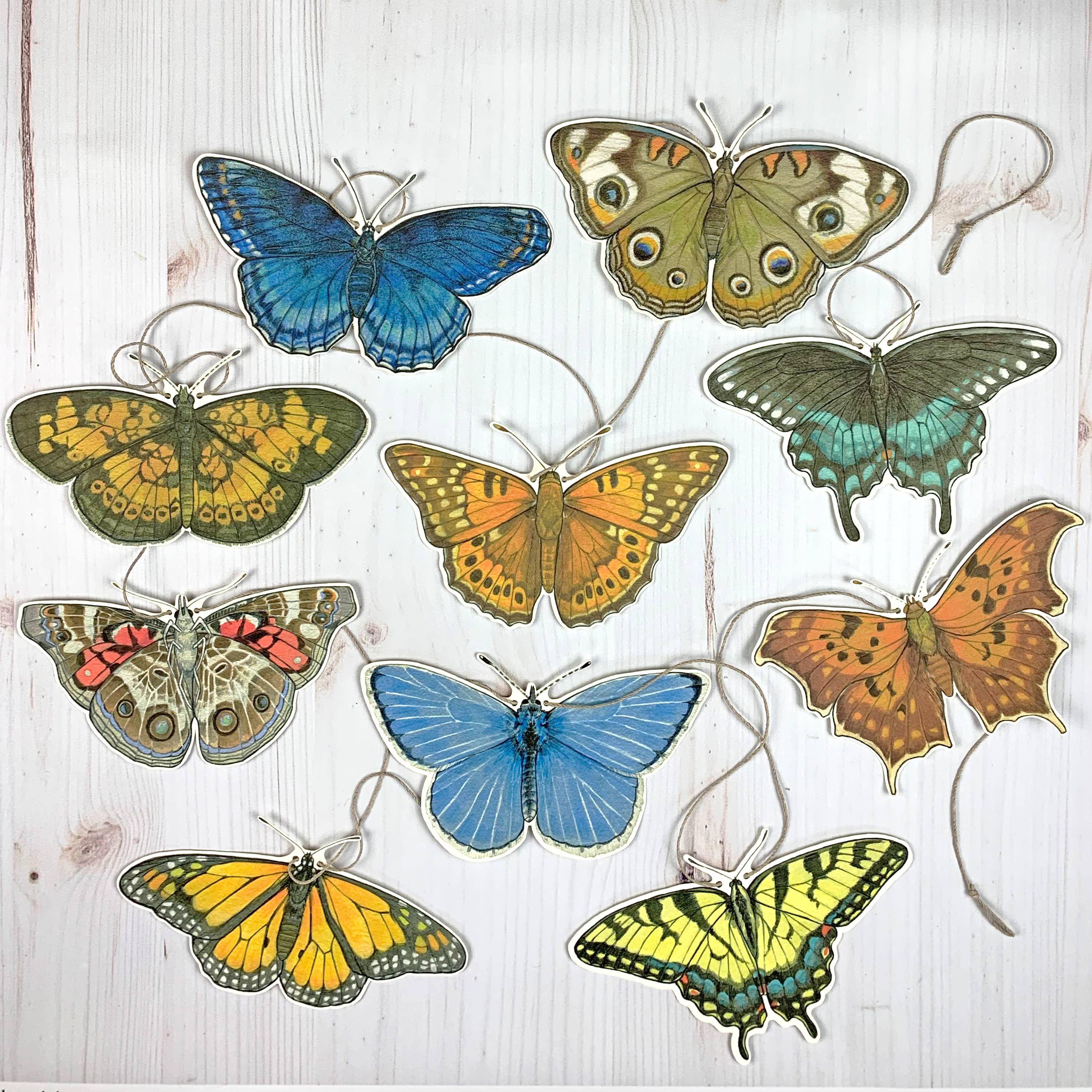 Eastern U.S. Native Butterfly Illustrated Garland - Image 2