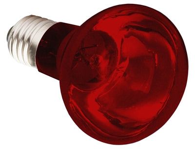 Komodo Infrared Heat Lamp Es - Image 3