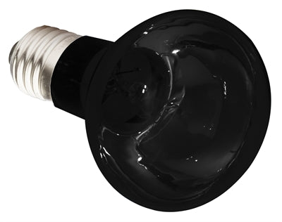 Komodo Night Glow Lamp Es