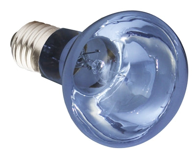 Komodo Neodymium Daylight Lamp ES - Image 3