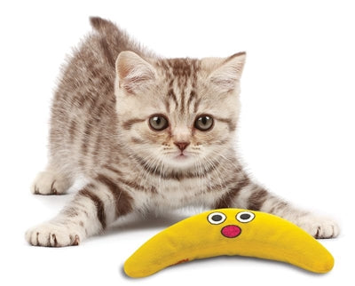 Petstages Green Magic Boomerang Buddy - Image 3
