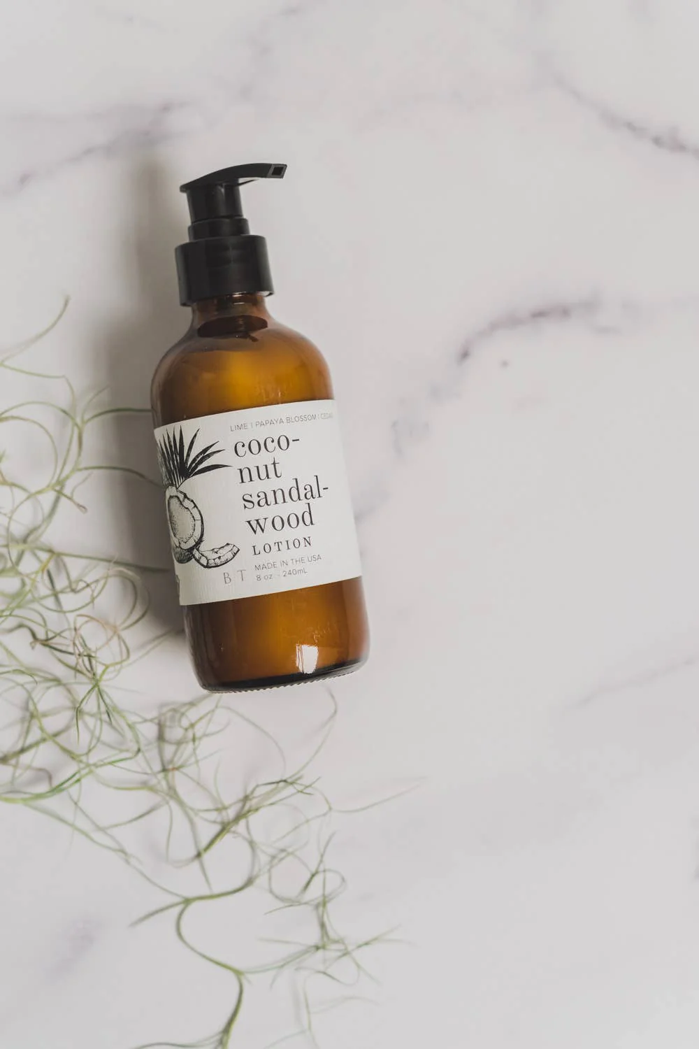 Coconut Sandalwood Lotion 8 oz - Image 3
