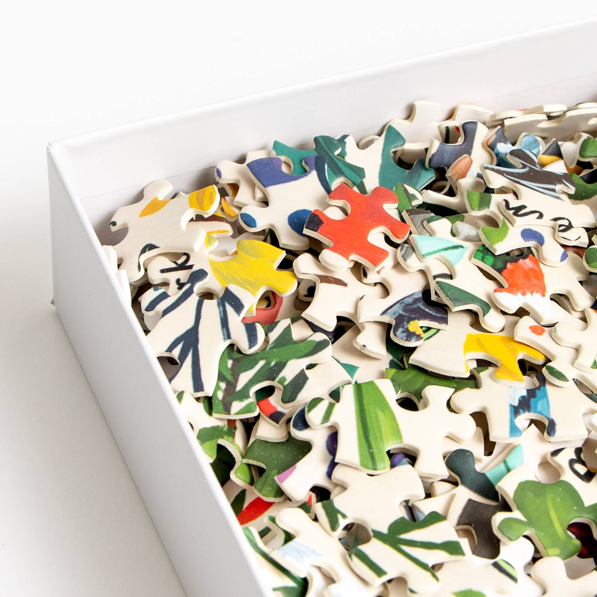 Feathered Friends - 1,000 Piece Bird Jigsaw Puzzle - Image 2