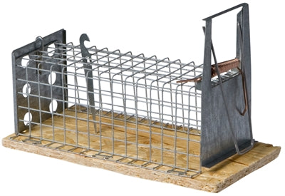 Luna Wooden Mouse Trap, Right-Handed, 1-Catch