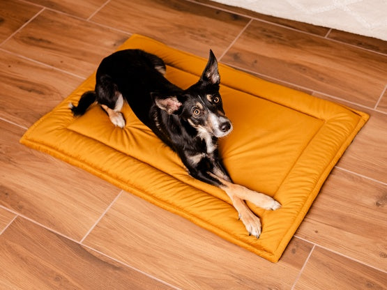 MIMIKO Pets Mata Velvet 100x70cm musztarda - Image 2