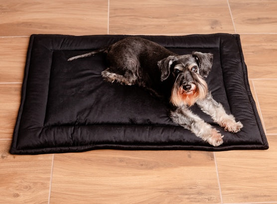 MIMIKO Pets Mata Velvet 100x70cm czarny - Image 2