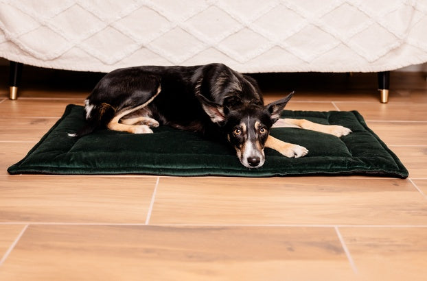 MIMIKO Pets Mata Velvet 100x70cm butelkowa zieleń - Image 3