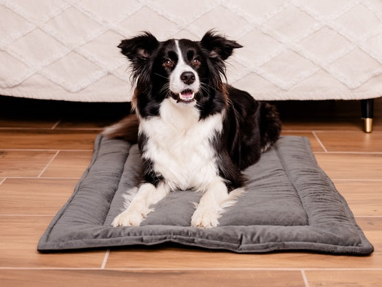MIMIKO Pets Mata Velvet 100x70cm grafit - Image 2