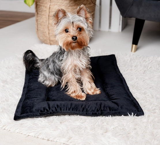 MIMIKO Pets Mata Velvet 70x50cm czarny - Image 2