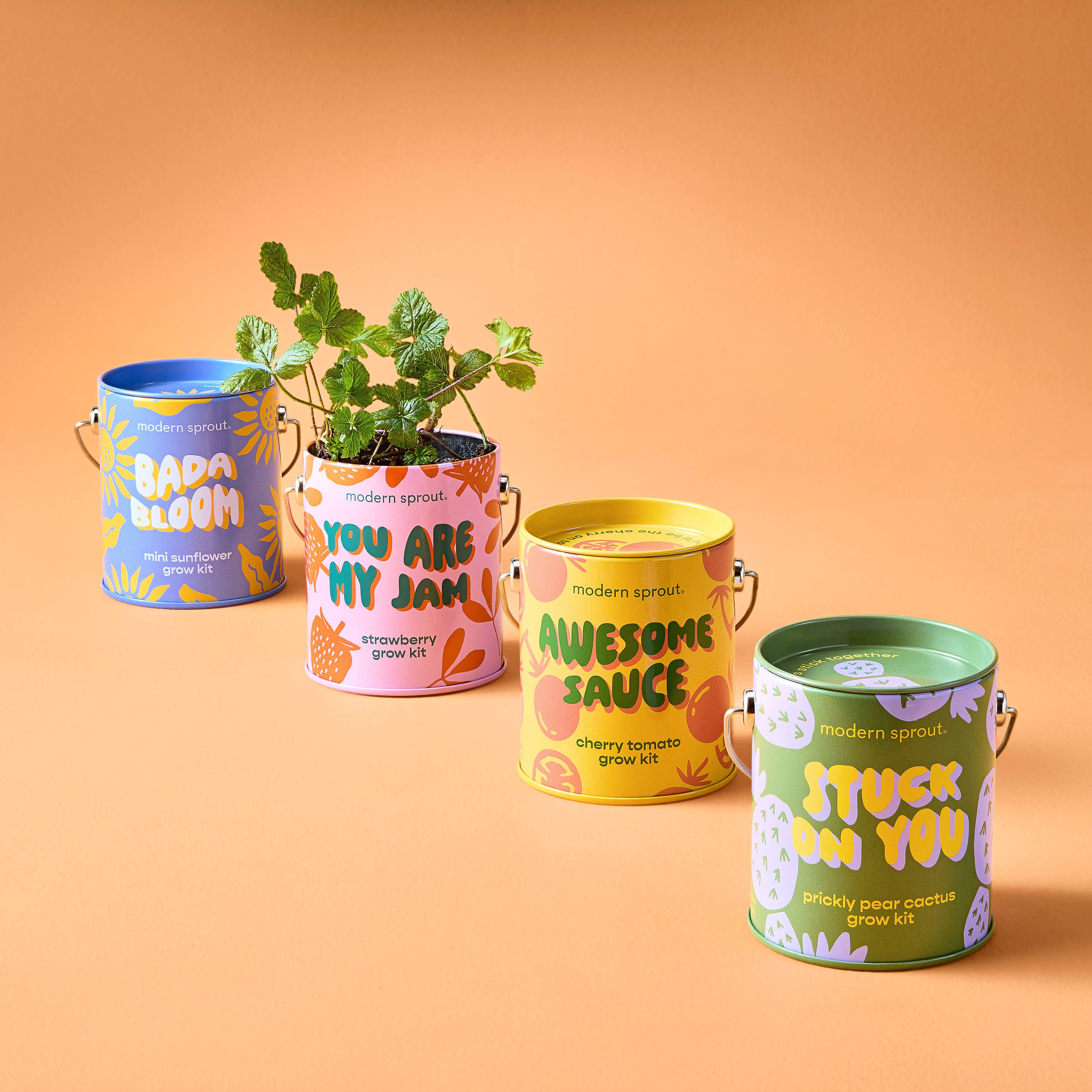 Complimentary Color Grow Kits - Image 1