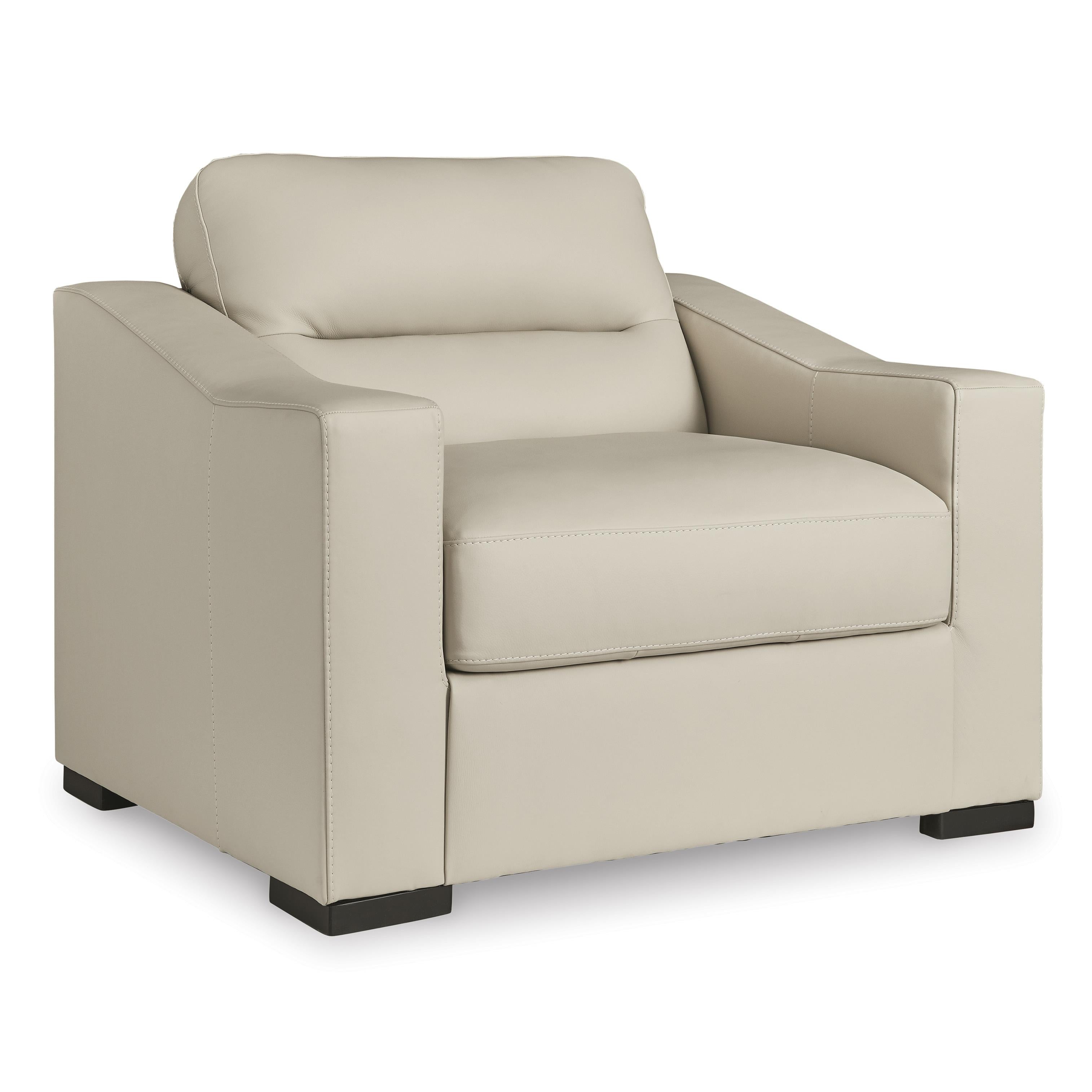 Signature Design by Ashley Treasure Trove 1930423 Chair and a Half - Image 1