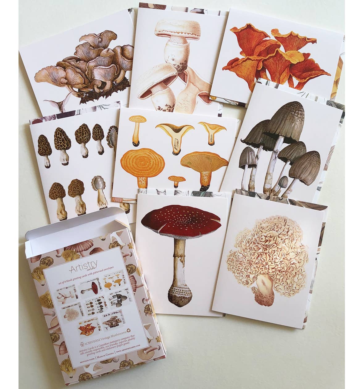 Vintage Mushrooms | Boxed Cards Of 8 Blank Cards - Image 1