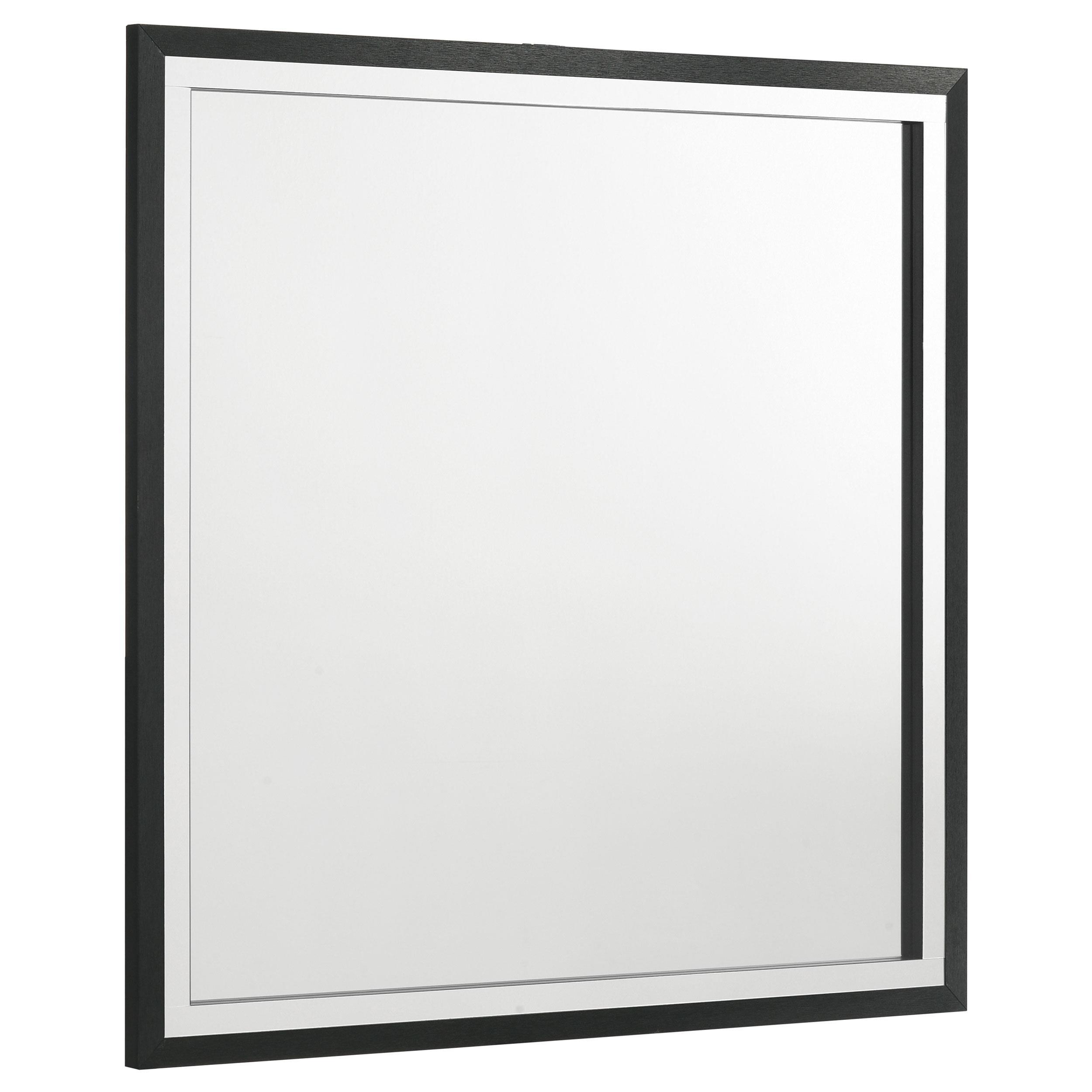 Coaster Furniture Lucia 224994 Dresser Mirror - Black - Image 1