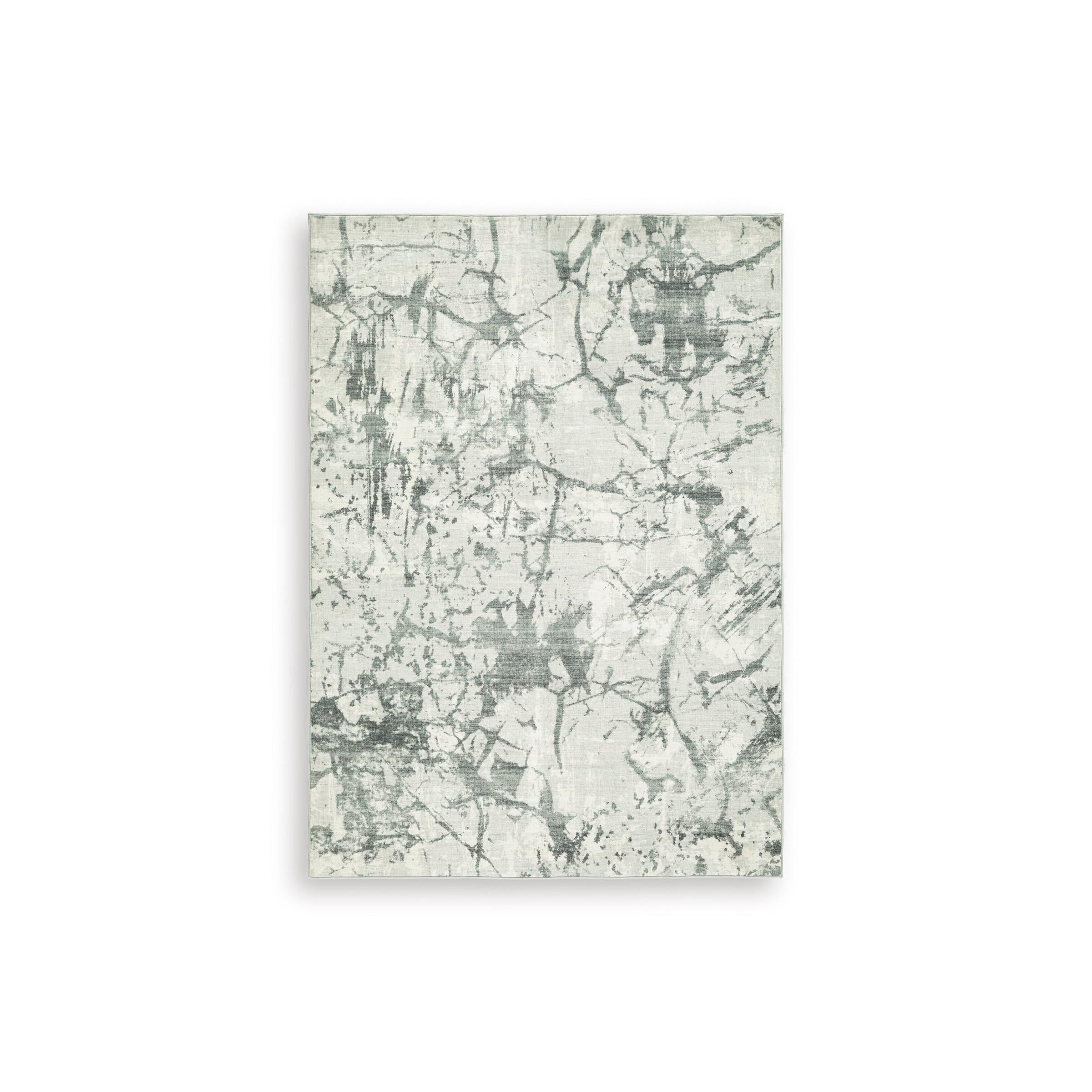 Signature Design by Ashley Tobinbury R407422 Washable Medium Rug - Image 1