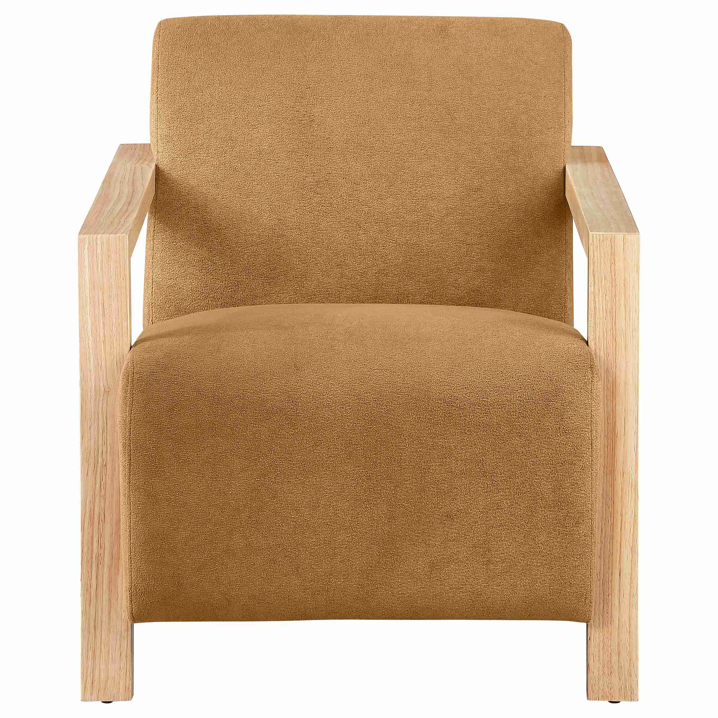 Coaster Furniture Diego 902268 Upholstered Accent Arm Chair with Wood Arms - Honey - Image 2