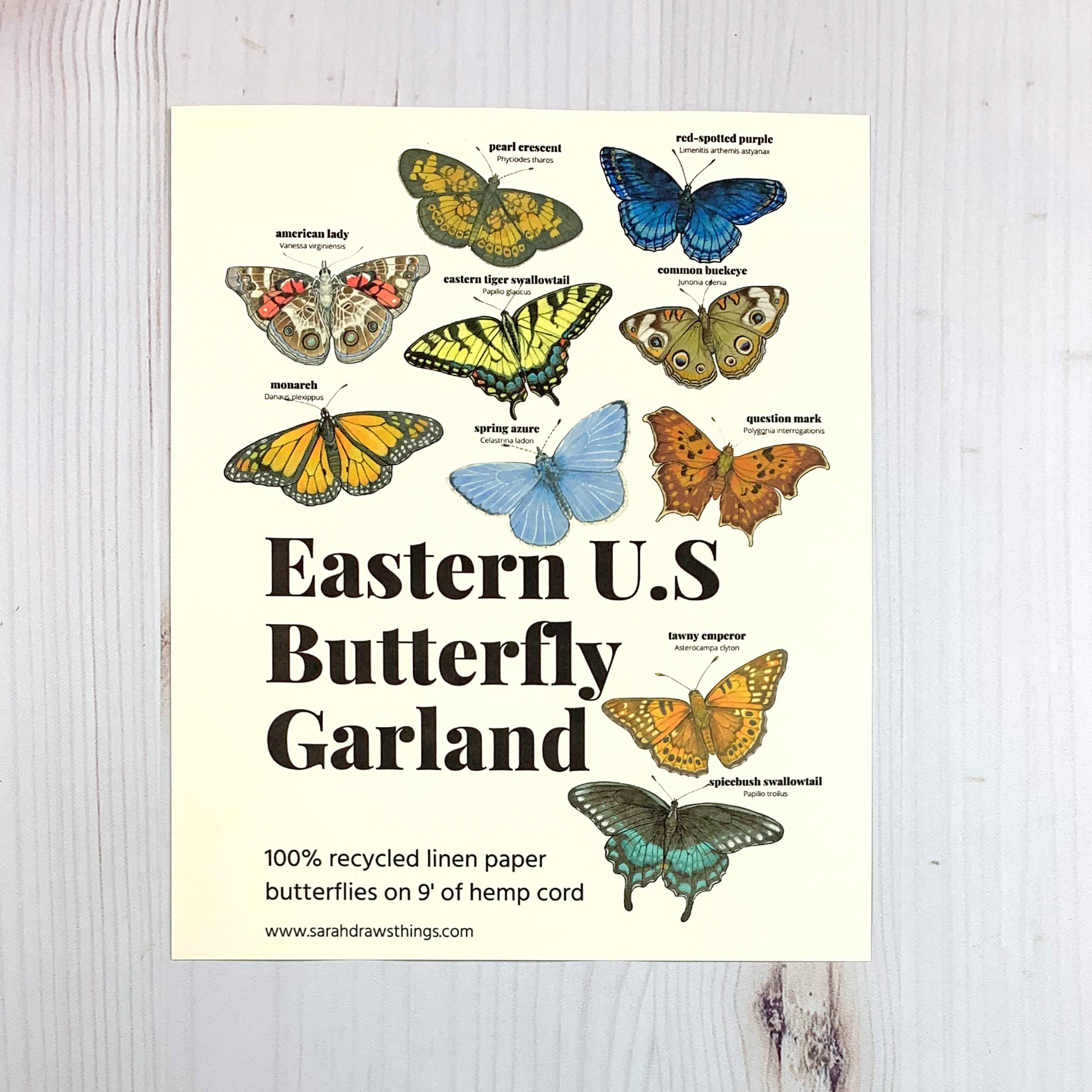 Eastern U.S. Native Butterfly Illustrated Garland - Image 3