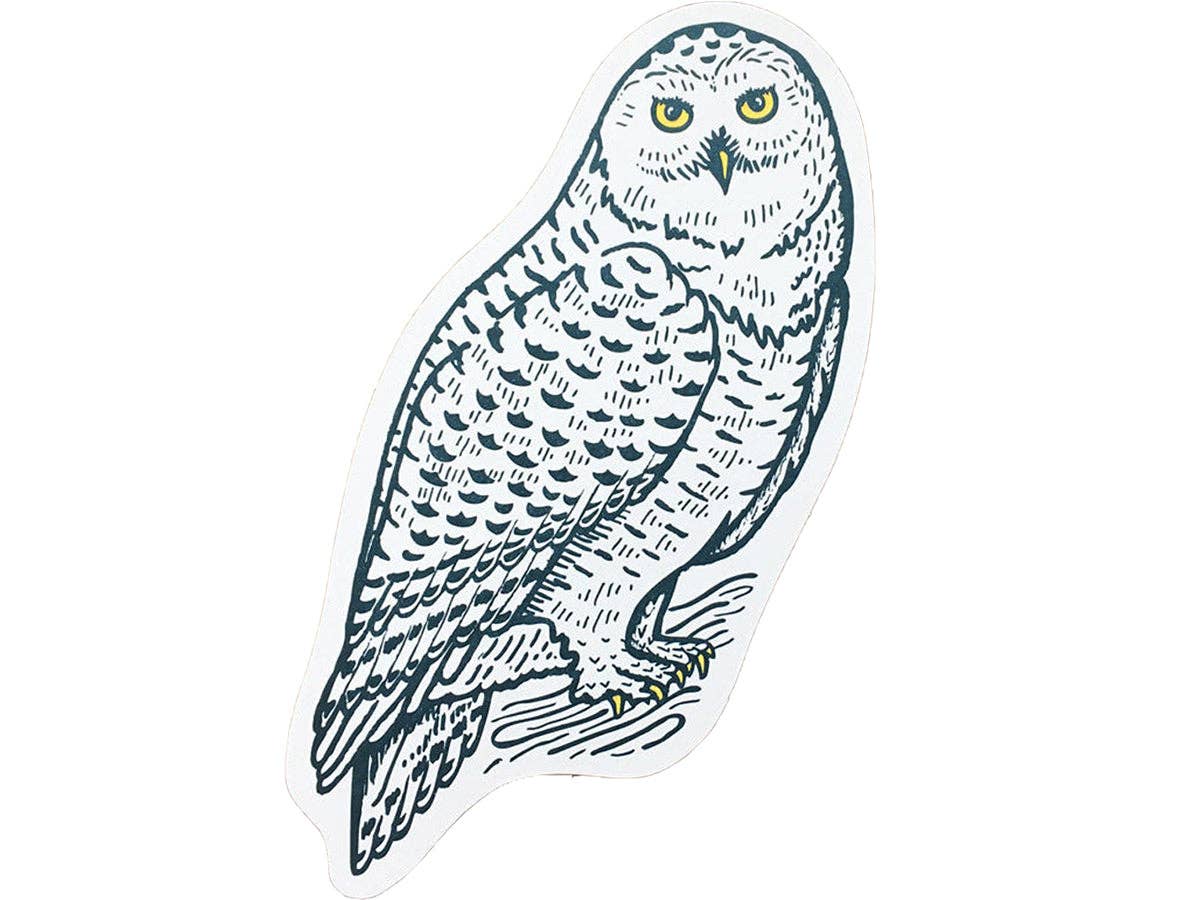 Snowy Owl Postcard - Image 1