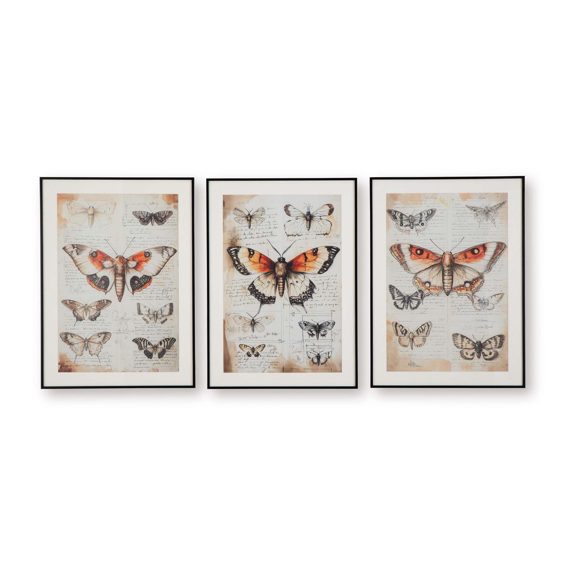 Signature Design by Ashley Jossletts A8000490 Wall Art Set - Image 2