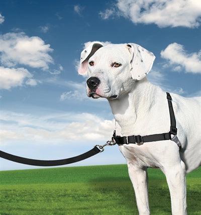 Easy Walk Dog Harness - Anti-Pull - Including Leash - Size XS to XL - Image 3