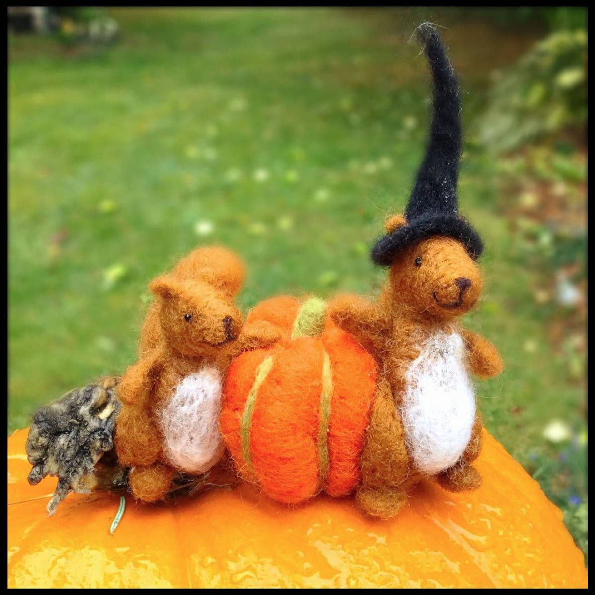 Squirrel Felting Kit - Image 2