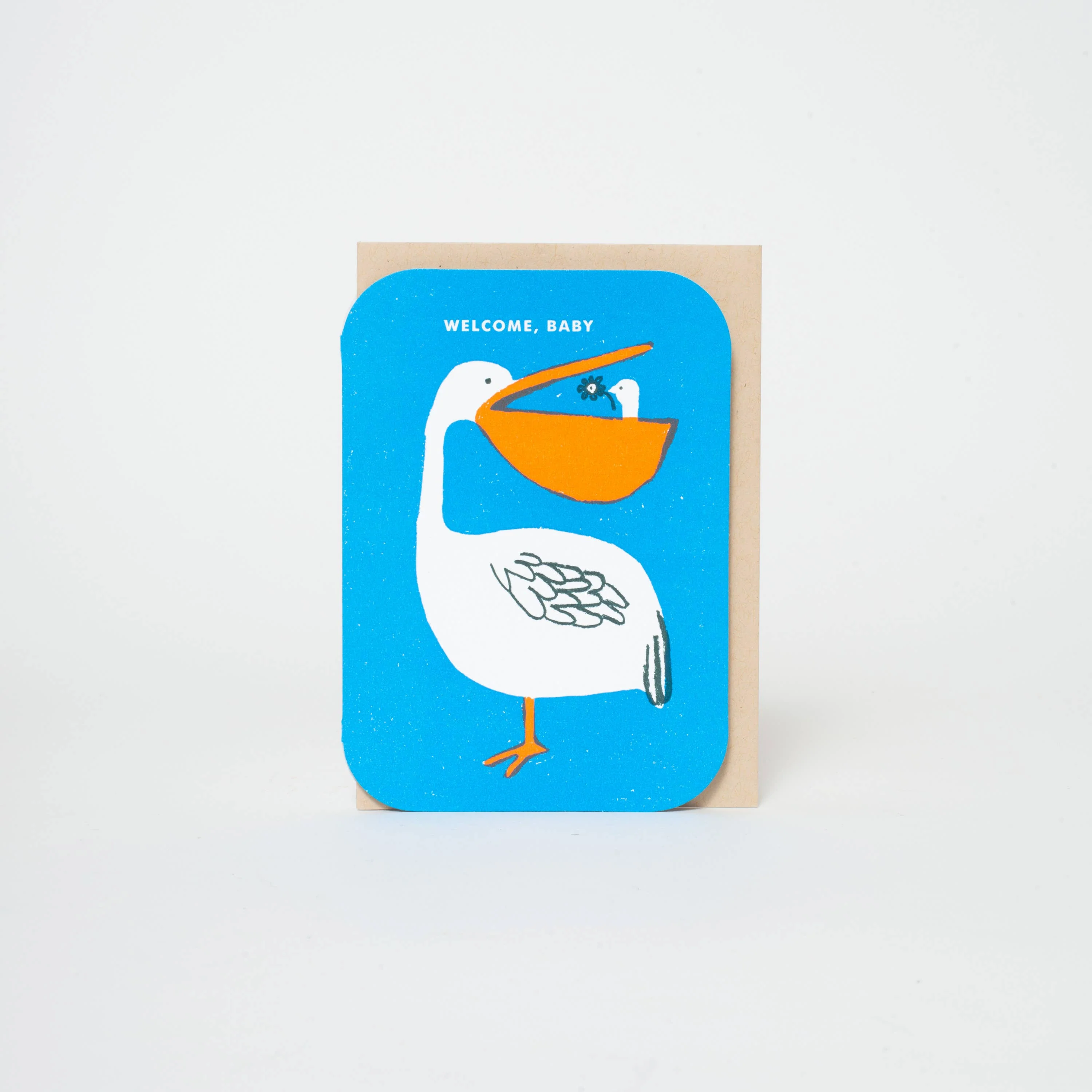 Baby Congrats Pelican Welcome Letterpress Greeting Card by Egg Press - Image 2
