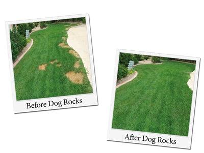 Dog Rocks - Image 2
